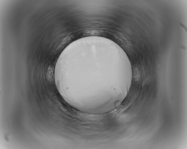 X0000097820036200804111025