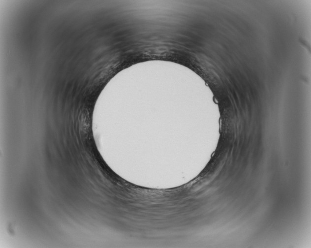 X0000097820040200804111025