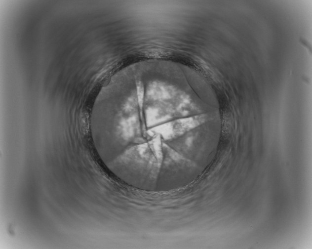 X0000097820043200804111025