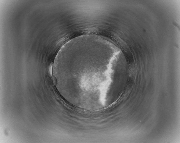 X0000097820047200804111025