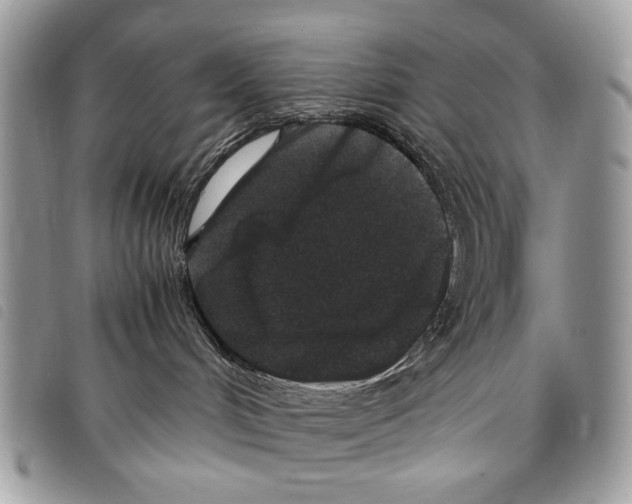 X0000097820048200804111025