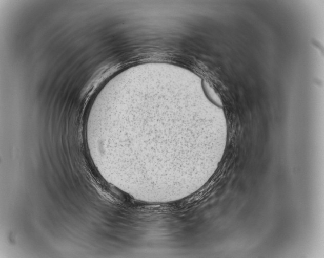 X0000097820050200804111024