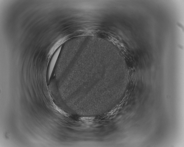 X0000097820051200804111024