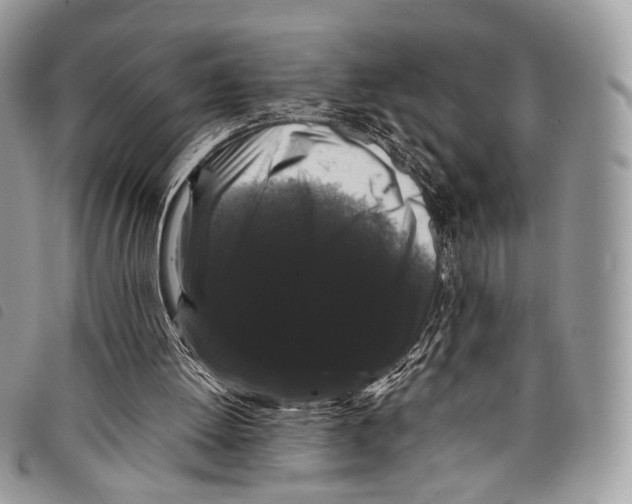 X0000097820052200804111024