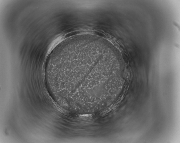 X0000097820053200804111024