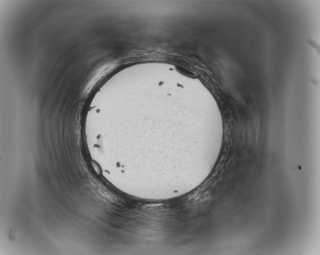 X0000097820054200804111024