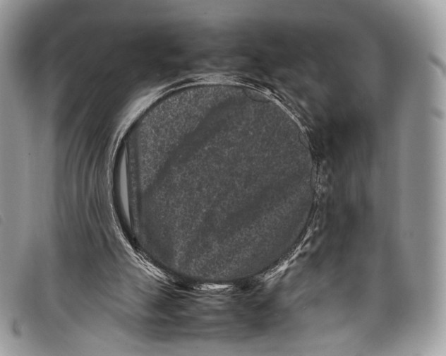 X0000097820055200804111024