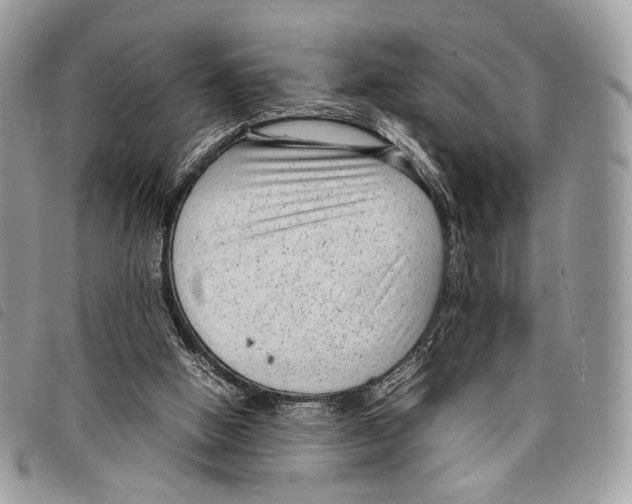 X0000097820058200804111024