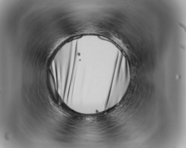 X0000097820060200804111025