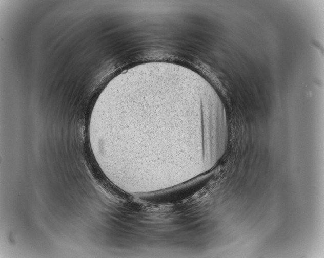 X0000097820063200804111025