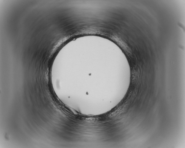 X0000097820064200804111025