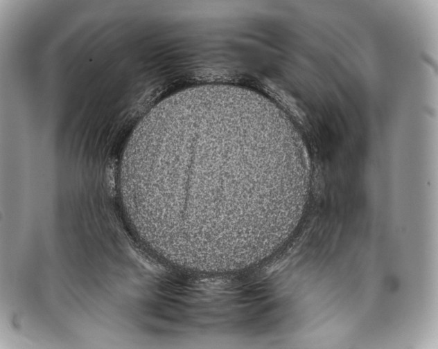 X0000097820065200804111025