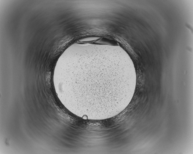 X0000097820066200804111025