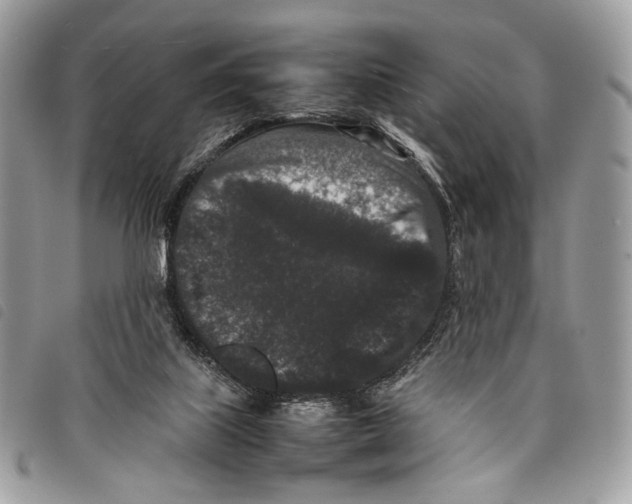 X0000097820067200804111025