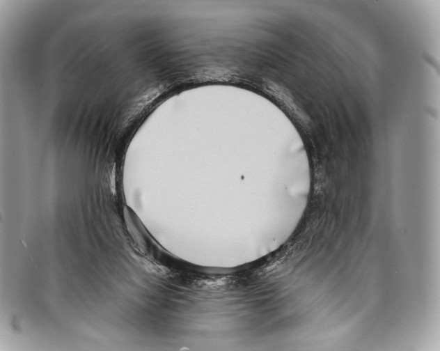 X0000097820068200804111025