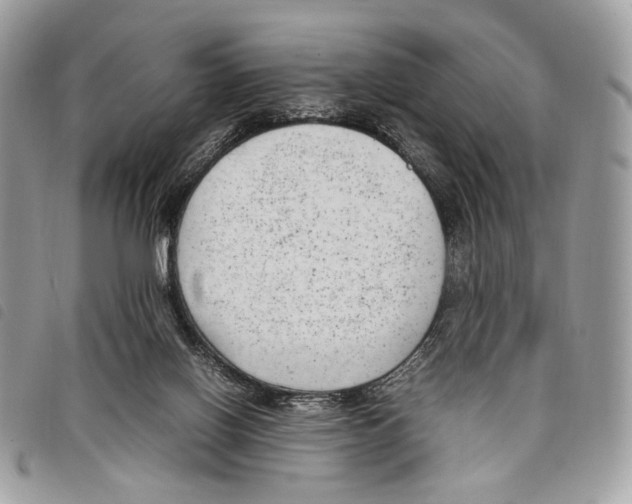 X0000097820070200804111025