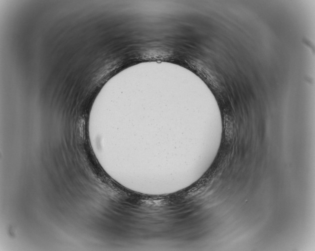 X0000097820071200804111025