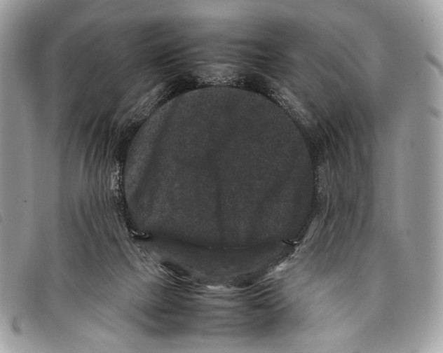 X0000097820073200804111025