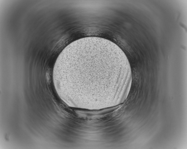 X0000097820074200804111025