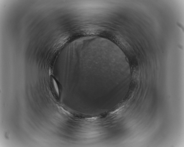 X0000097820076200804111025