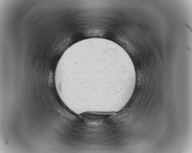 X0000097820077200804111025