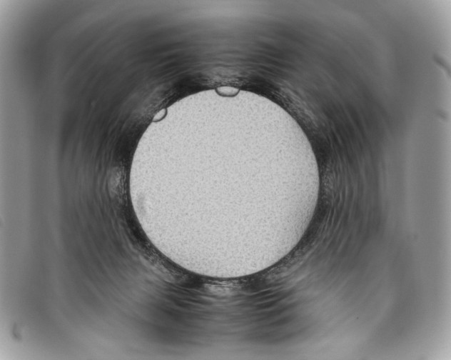 X0000097820079200804111025