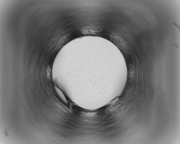 X0000097820081200804111025