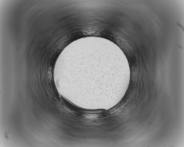 X0000097820085200804111025