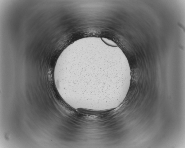 X0000097820086200804111025