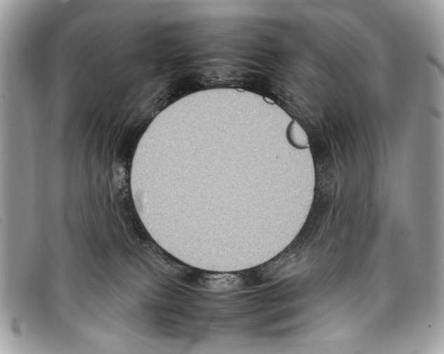 X0000097820087200804111025