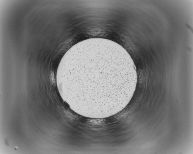 X0000097820089200804111025