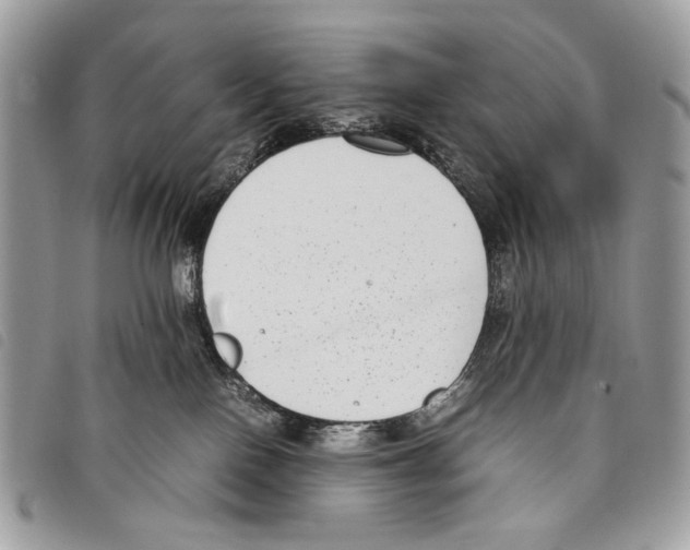 X0000097820090200804111025