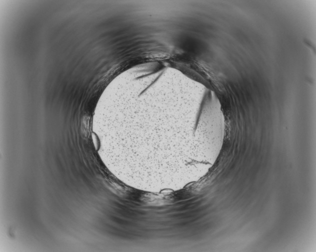 X0000097820093200804111025