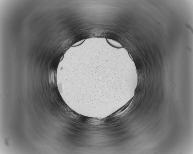 X0000097820094200804111025