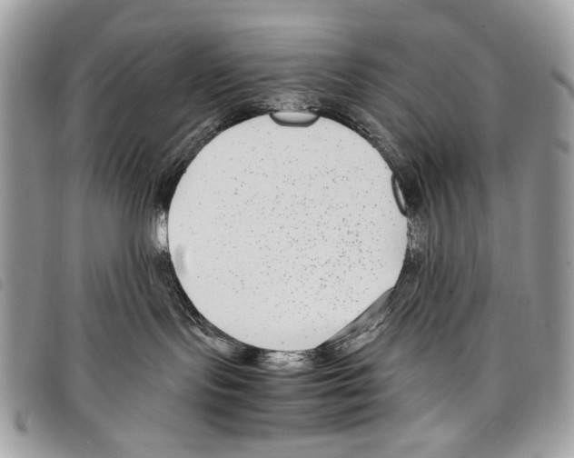 X0000097820095200804111025