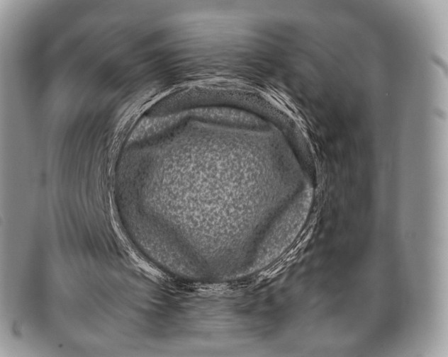 X0000097820097200804111024