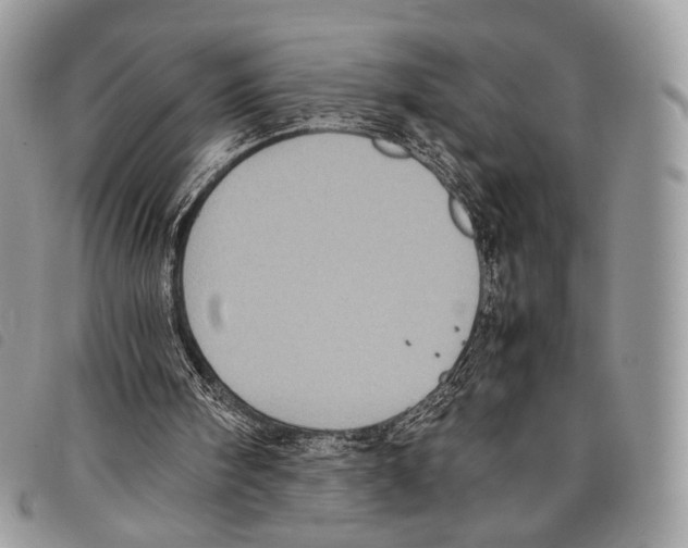 X0000097820098200804111024