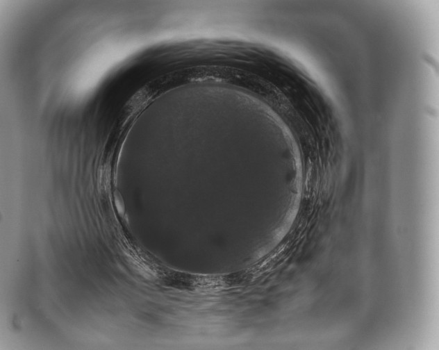 X0000097820099200804111024