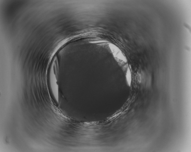 X0000097820100200804111024