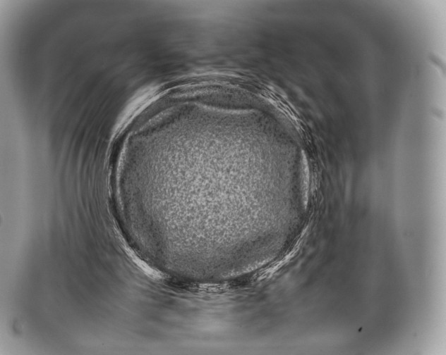 X0000097820101200804111024