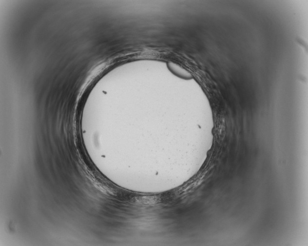 X0000097820102200804111024