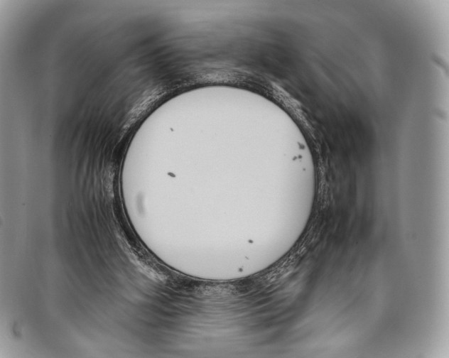 X0000097820106200804111024