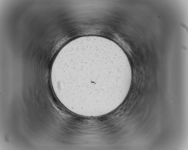 X0000097820107200804111024