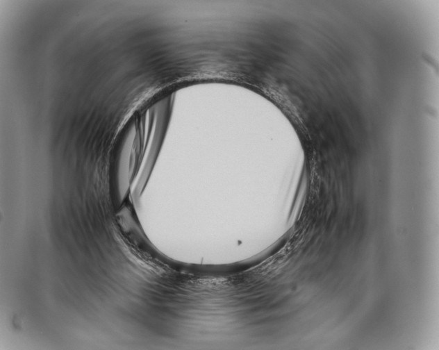 X0000097820108200804111024