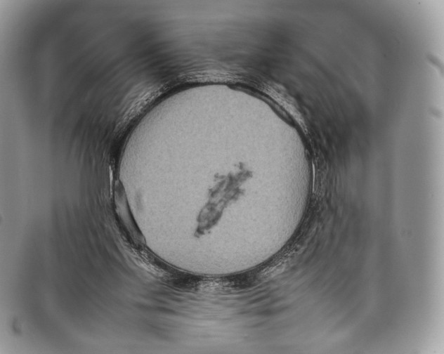 X0000097820109200804111024