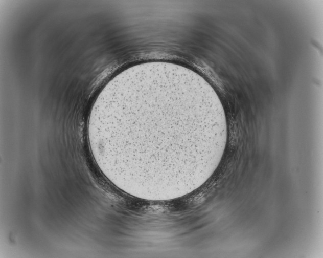 X0000097820111200804111024