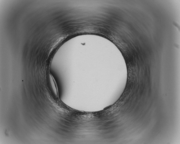 X0000097820112200804111024