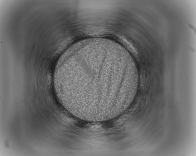 X0000097820113200804111024