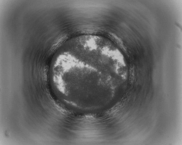 X0000097820114200804111024