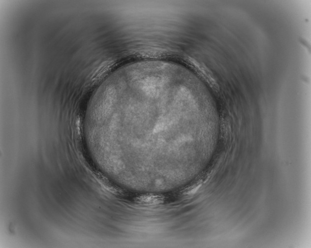 X0000097820117200804111024